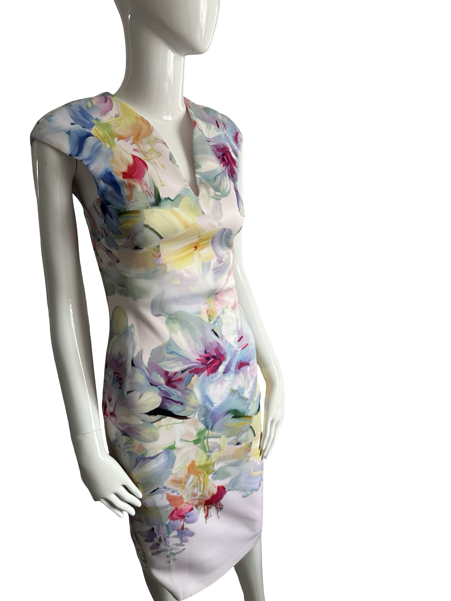 Ted Baker London Hanging Gardens Bodycon Dress – Baby Pink Floral (Size 1 / XS) – NWT