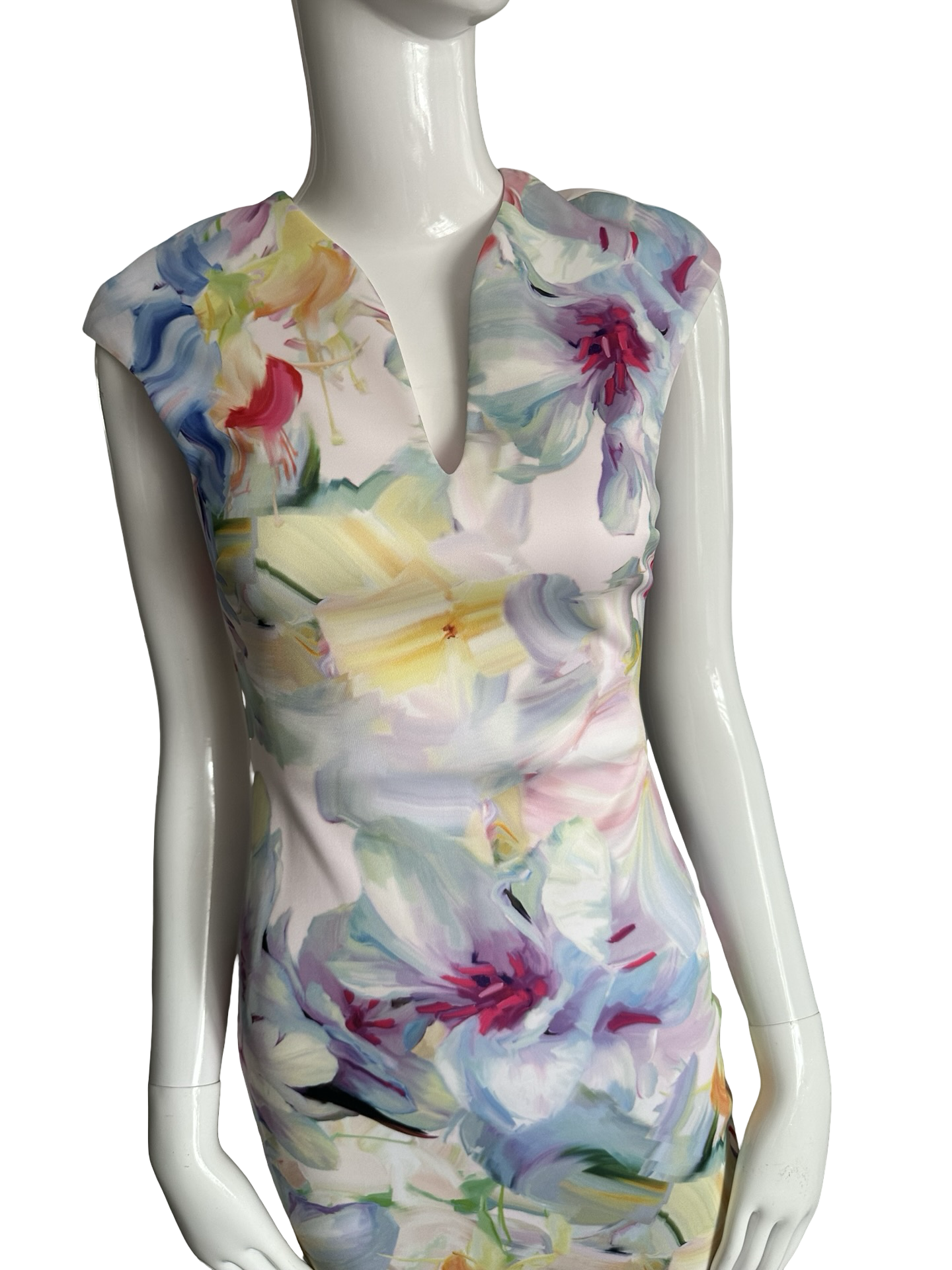Ted Baker London Hanging Gardens Bodycon Dress – Baby Pink Floral (Size 1 / XS) – NWT