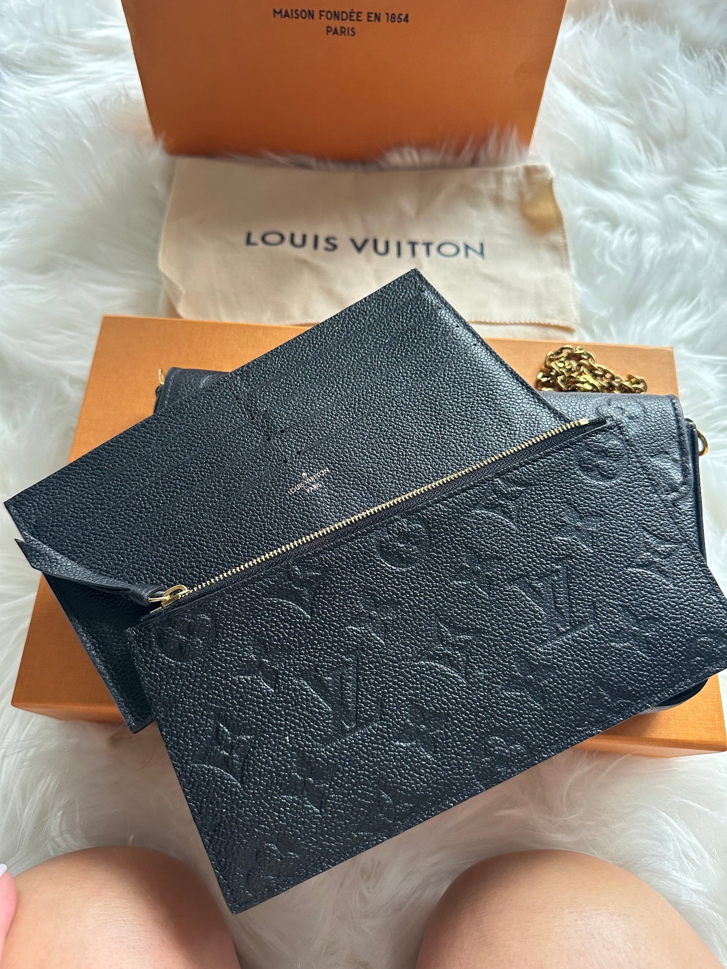 Louis Vuitton Félicie Pochette