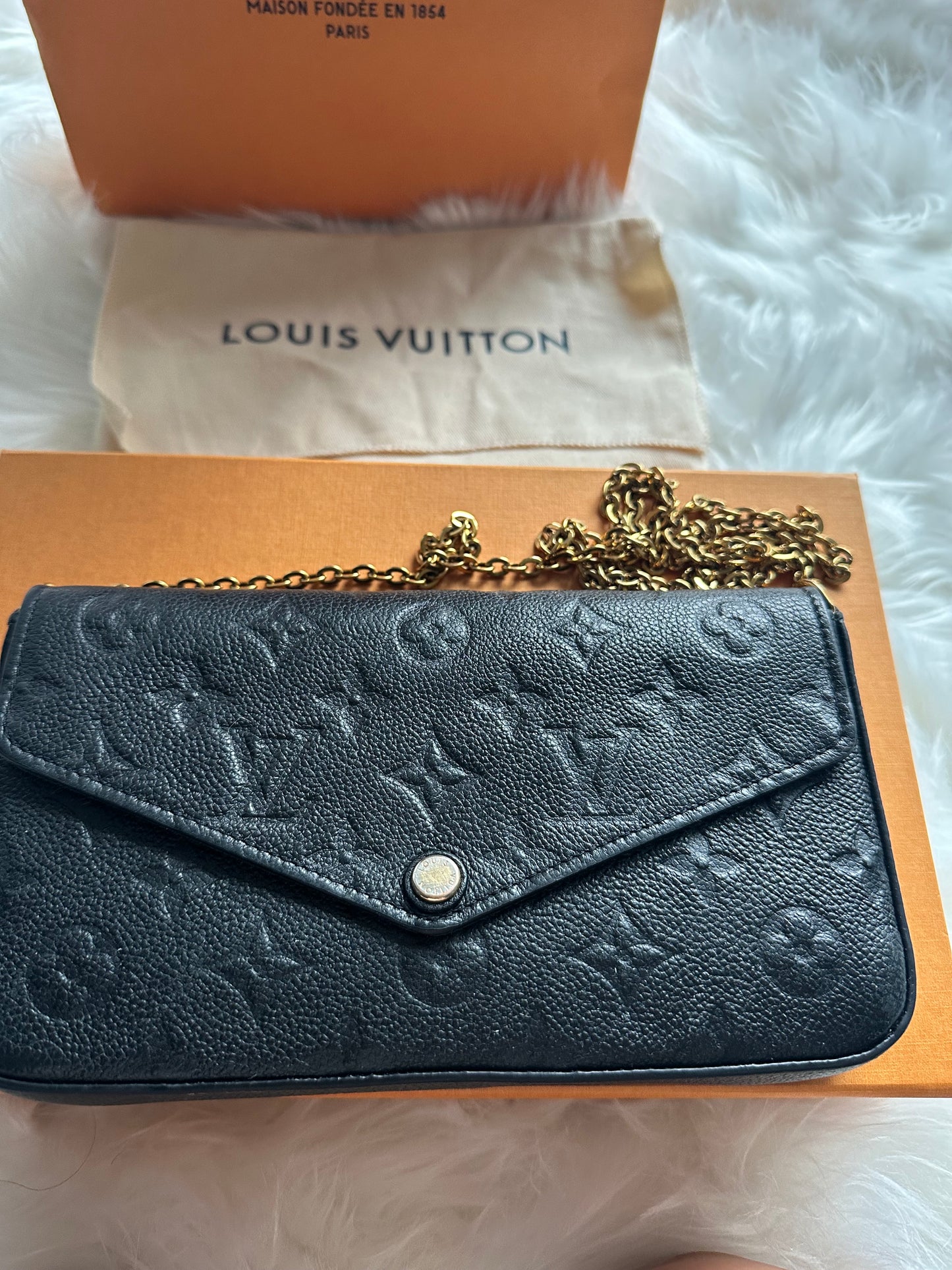 Louis Vuitton Félicie Pochette