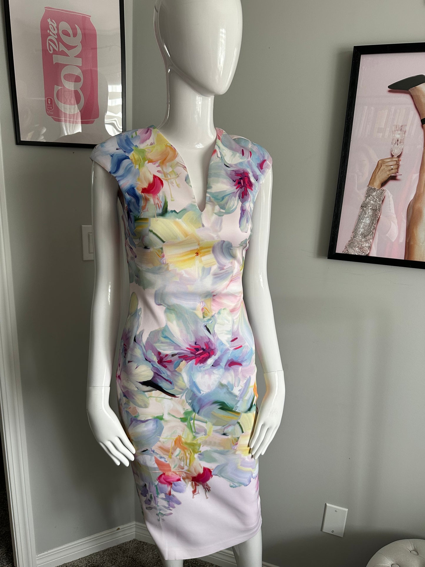 Ted Baker London Hanging Gardens Bodycon Dress – Baby Pink Floral (Size 1 / XS) – NWT