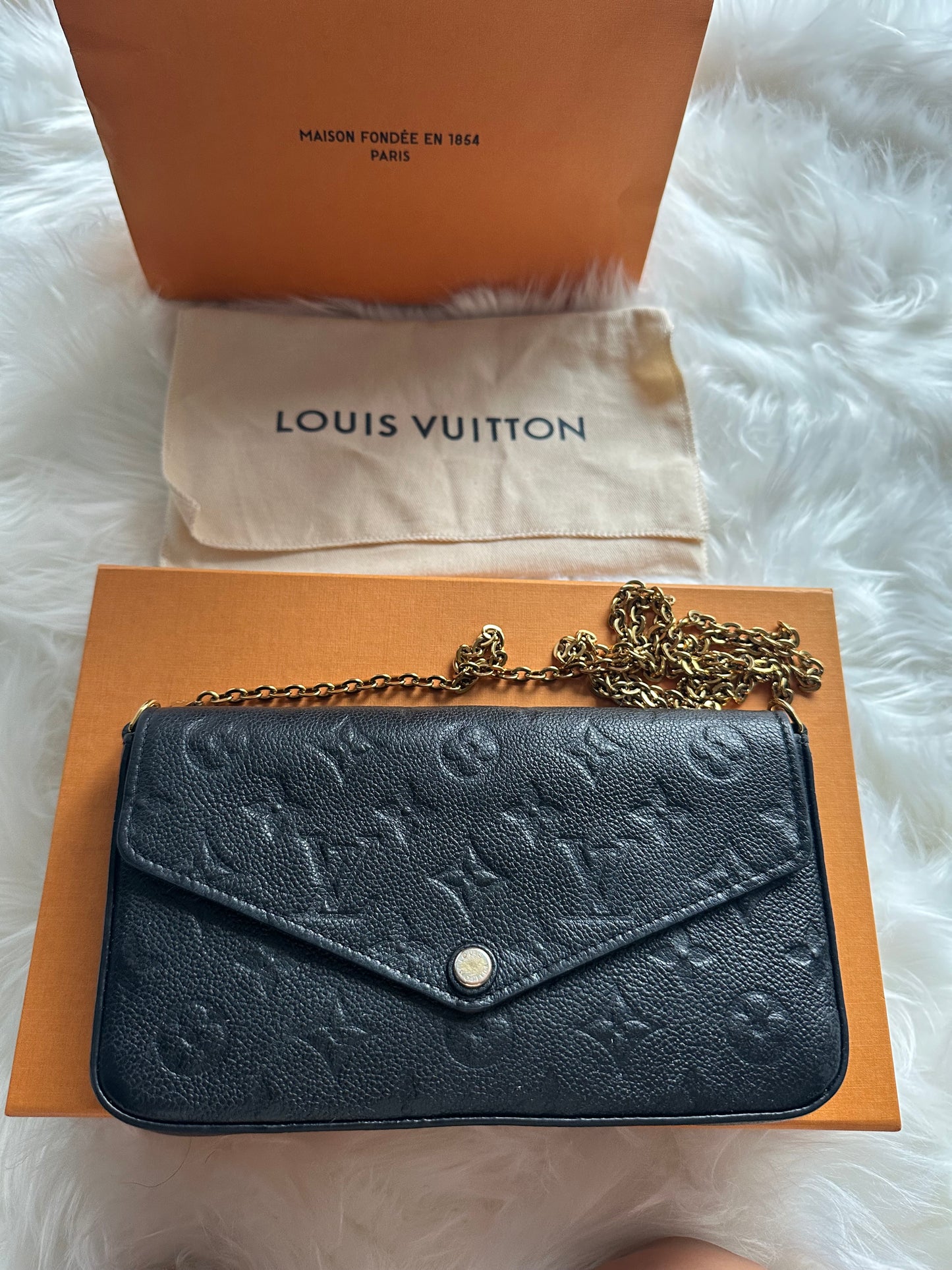 Louis Vuitton Félicie Pochette