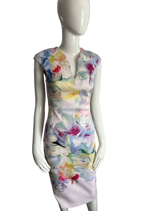 Ted Baker London Hanging Gardens Bodycon Dress – Baby Pink Floral (Size 1 / XS) – NWT