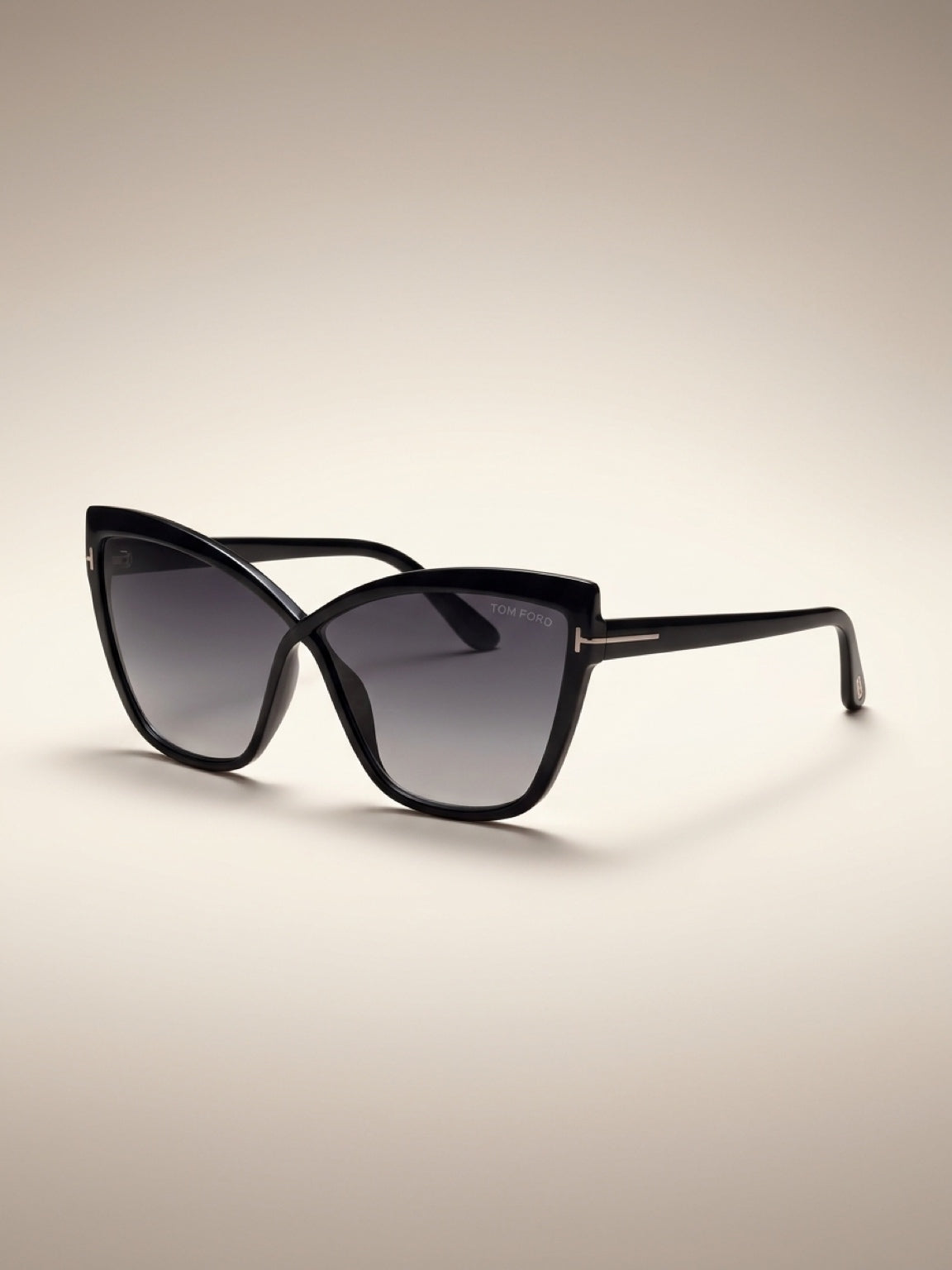 Tom Ford Sandrine Oversized Sunglasses